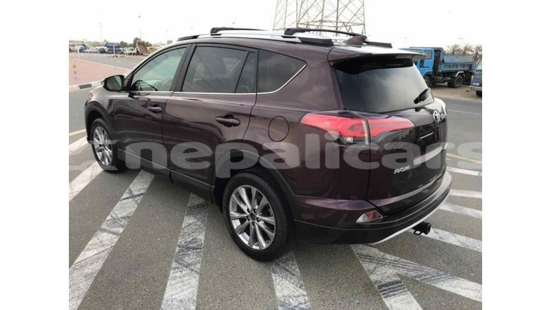 Big with watermark 497829b5 c29d 47c8 b628 754cf049e60f