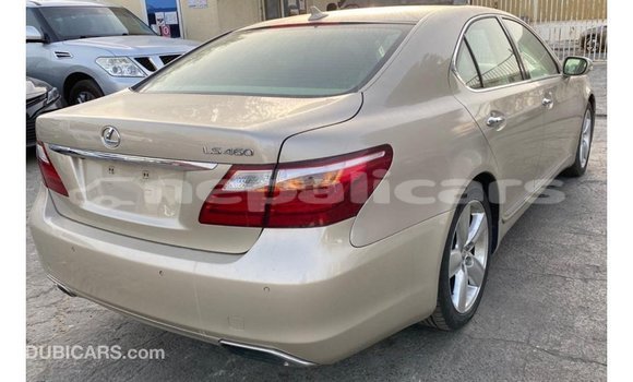 Buy Import Lexus LS Other Car in Import - Dubai in Bagmati Buy Import Lexus LS Other Car in Import - Dubai in Bagmati
