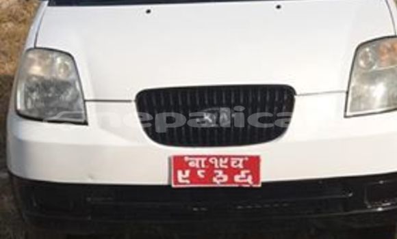 Buy Used Kia Picanto White Car in Kathmandu in Bagmati
