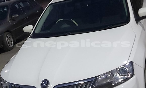 Buy Used Skoda Rapid White Car in Janakpur in Janakpur