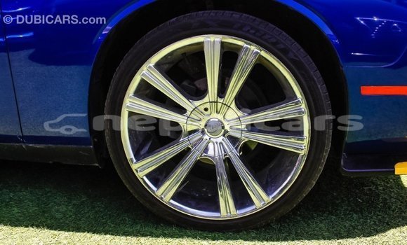 Buy Import Dodge Challenger Blue Car in Import - Dubai in Bagmati Buy Import Dodge Challenger Blue Car in Import - Dubai in Bagmati