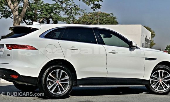 Buy Import Jaguar F-Pace White Car in Import - Dubai in Bagmati Buy Import Jaguar F-Pace White Car in Import - Dubai in Bagmati