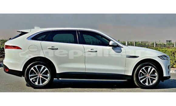 Buy Import Jaguar F-Pace White Car in Import - Dubai in Bagmati Buy Import Jaguar F-Pace White Car in Import - Dubai in Bagmati