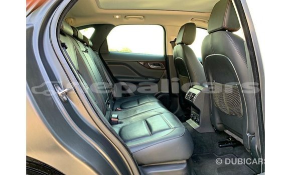 Buy Import Jaguar F-Pace White Car in Import - Dubai in Bagmati Buy Import Jaguar F-Pace White Car in Import - Dubai in Bagmati