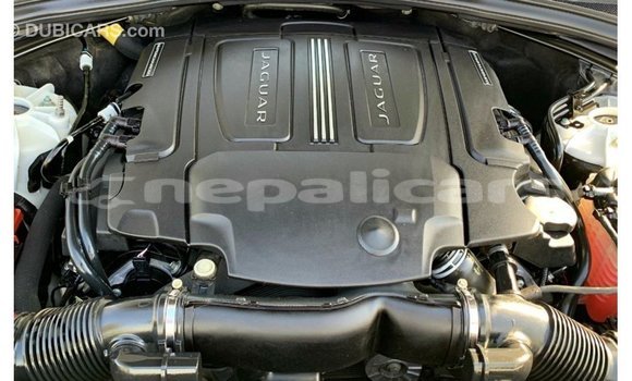 Buy Import Jaguar F-Pace White Car in Import - Dubai in Bagmati Buy Import Jaguar F-Pace White Car in Import - Dubai in Bagmati