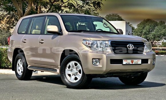 Buy Import Toyota Land Cruiser Other Car in Import - Dubai in Bagmati