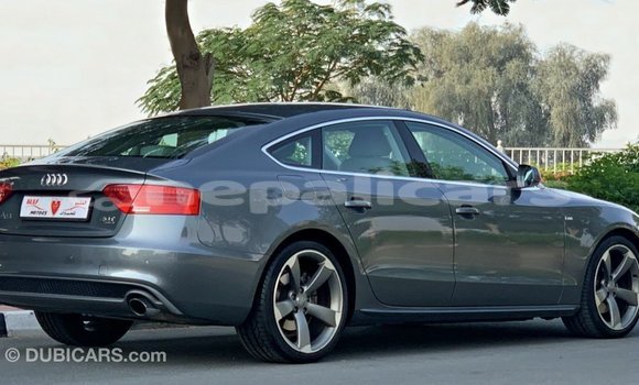 Buy Import Audi 100 Other Car in Import - Dubai in Bagmati Buy Import Audi 100 Other Car in Import - Dubai in Bagmati