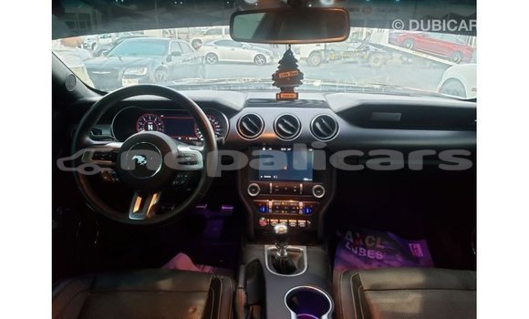 Buy Import Ford Mustang Black Car in Import - Dubai in Bagmati Buy Import Ford Mustang Black Car in Import - Dubai in Bagmati