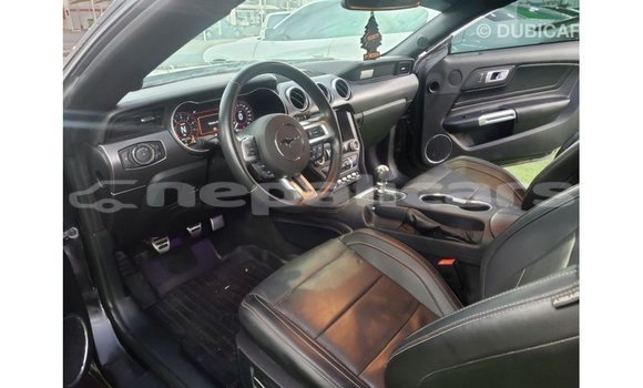 Buy Import Ford Mustang Black Car in Import - Dubai in Bagmati Buy Import Ford Mustang Black Car in Import - Dubai in Bagmati