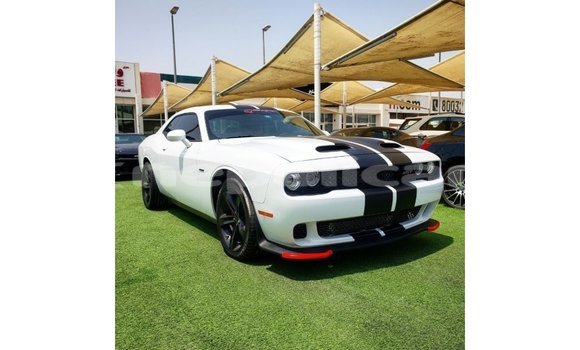Buy Import Dodge Challenger White Car in Import - Dubai in Bagmati