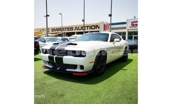 Buy Import Dodge Challenger White Car in Import - Dubai in Bagmati Buy Import Dodge Challenger White Car in Import - Dubai in Bagmati