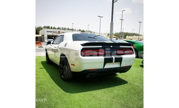 Buy Import Dodge Challenger White Car in Import - Dubai in Bagmati Buy Import Dodge Challenger White Car in Import - Dubai in Bagmati