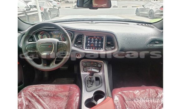 Buy Import Dodge Challenger White Car in Import - Dubai in Bagmati Buy Import Dodge Challenger White Car in Import - Dubai in Bagmati