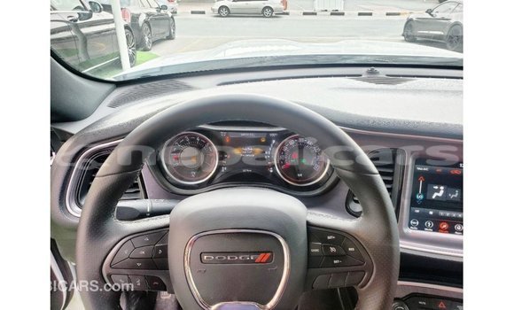 Buy Import Dodge Challenger White Car in Import - Dubai in Bagmati Buy Import Dodge Challenger White Car in Import - Dubai in Bagmati