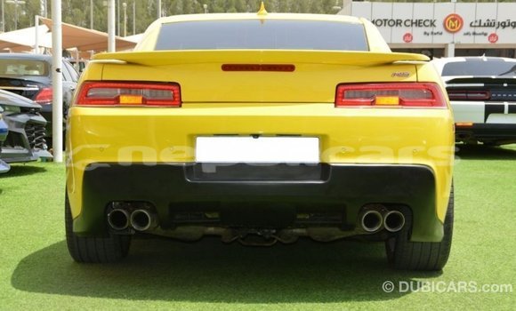 Buy Import Chevrolet Camaro Other Car in Import - Dubai in Bagmati Buy Import Chevrolet Camaro Other Car in Import - Dubai in Bagmati