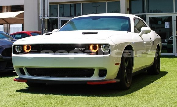 Buy Import Dodge Challenger White Car in Import - Dubai in Bagmati