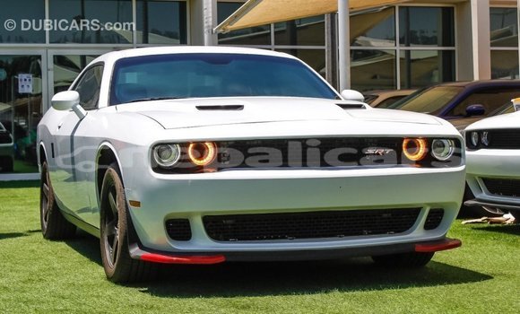 Buy Import Dodge Challenger White Car in Import - Dubai in Bagmati Buy Import Dodge Challenger White Car in Import - Dubai in Bagmati