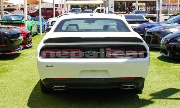 Buy Import Dodge Challenger White Car in Import - Dubai in Bagmati Buy Import Dodge Challenger White Car in Import - Dubai in Bagmati