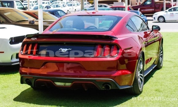 Buy Import Ford Mustang Red Car in Import - Dubai in Bagmati Buy Import Ford Mustang Red Car in Import - Dubai in Bagmati