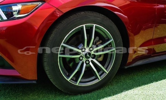 Buy Import Ford Mustang Red Car in Import - Dubai in Bagmati Buy Import Ford Mustang Red Car in Import - Dubai in Bagmati