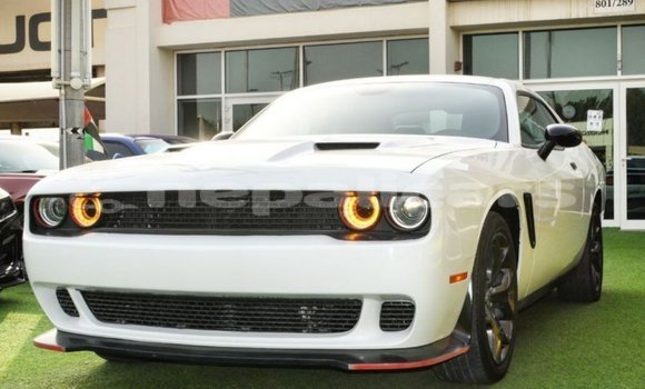 Buy Import Dodge Challenger White Car in Import - Dubai in Bagmati