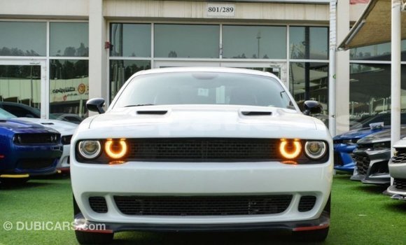 Buy Import Dodge Challenger White Car in Import - Dubai in Bagmati Buy Import Dodge Challenger White Car in Import - Dubai in Bagmati