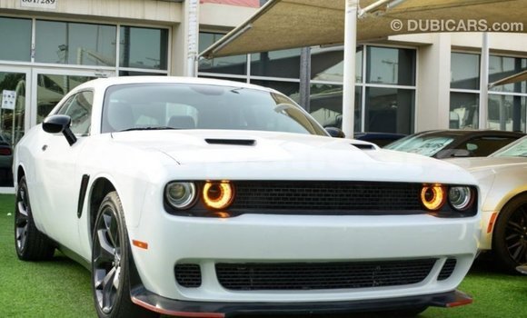 Buy Import Dodge Challenger White Car in Import - Dubai in Bagmati Buy Import Dodge Challenger White Car in Import - Dubai in Bagmati