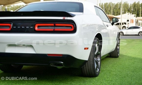 Buy Import Dodge Challenger White Car in Import - Dubai in Bagmati Buy Import Dodge Challenger White Car in Import - Dubai in Bagmati