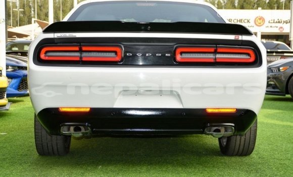 Buy Import Dodge Challenger White Car in Import - Dubai in Bagmati Buy Import Dodge Challenger White Car in Import - Dubai in Bagmati