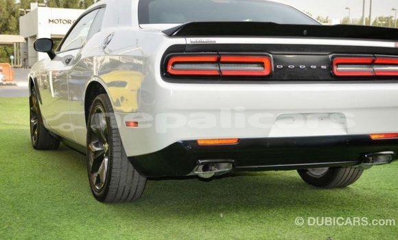 Buy Import Dodge Challenger White Car in Import - Dubai in Bagmati Buy Import Dodge Challenger White Car in Import - Dubai in Bagmati