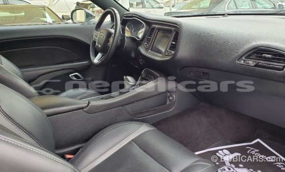 Buy Import Dodge Challenger White Car in Import - Dubai in Bagmati Buy Import Dodge Challenger White Car in Import - Dubai in Bagmati