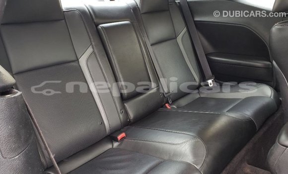 Buy Import Dodge Challenger White Car in Import - Dubai in Bagmati Buy Import Dodge Challenger White Car in Import - Dubai in Bagmati