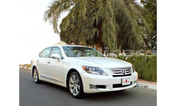 Buy Import Lexus LS White Car in Import - Dubai in Bagmati Buy Import Lexus LS White Car in Import - Dubai in Bagmati