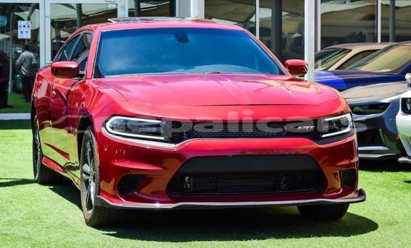 Buy Import Dodge Charger Red Car in Import - Dubai in Bagmati
