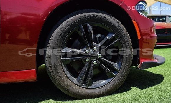 Buy Import Dodge Charger Red Car in Import - Dubai in Bagmati Buy Import Dodge Charger Red Car in Import - Dubai in Bagmati