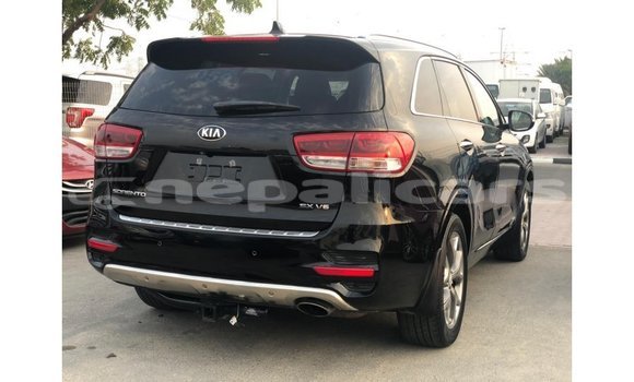 Buy Import Kia Sorento Black Car in Import - Dubai in Bagmati Buy Import Kia Sorento Black Car in Import - Dubai in Bagmati