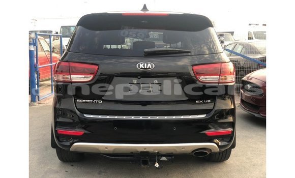 Buy Import Kia Sorento Black Car in Import - Dubai in Bagmati Buy Import Kia Sorento Black Car in Import - Dubai in Bagmati