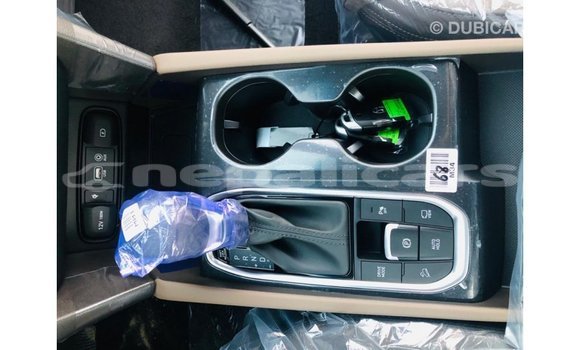 Buy Import Hyundai Santa Fe Brown Car in Import - Dubai in Bagmati Buy Import Hyundai Santa Fe Brown Car in Import - Dubai in Bagmati