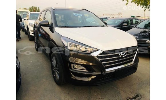 Buy Import Hyundai Tucson Brown Car in Import - Dubai in Bagmati Buy Import Hyundai Tucson Brown Car in Import - Dubai in Bagmati