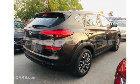 Buy Import Hyundai Tucson Brown Car in Import - Dubai in Bagmati Buy Import Hyundai Tucson Brown Car in Import - Dubai in Bagmati