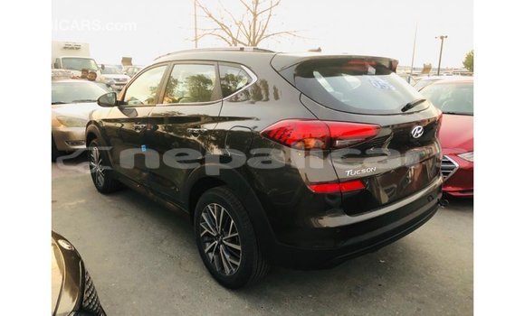 Buy Import Hyundai Tucson Brown Car in Import - Dubai in Bagmati Buy Import Hyundai Tucson Brown Car in Import - Dubai in Bagmati