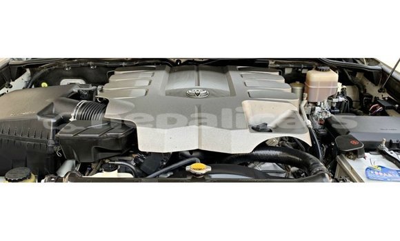 Buy Import Toyota Land Cruiser White Car in Import - Dubai in Bagmati Buy Import Toyota Land Cruiser White Car in Import - Dubai in Bagmati