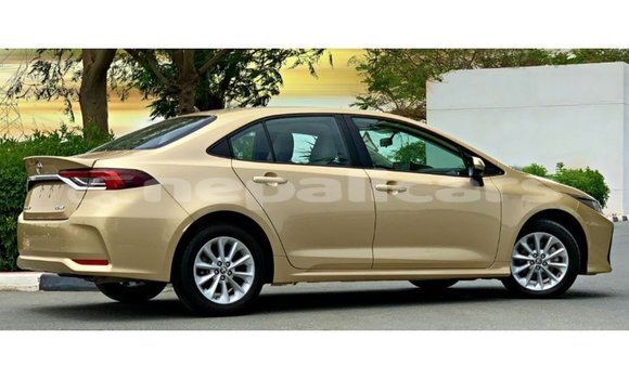 Buy Import Toyota Corolla Other Car in Import - Dubai in Bagmati Buy Import Toyota Corolla Other Car in Import - Dubai in Bagmati