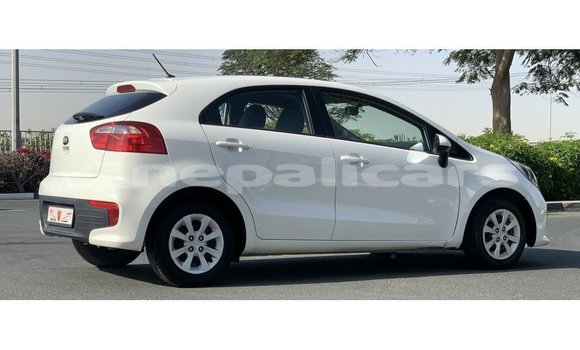 Buy Import Kia Rio White Car in Import - Dubai in Bagmati Buy Import Kia Rio White Car in Import - Dubai in Bagmati