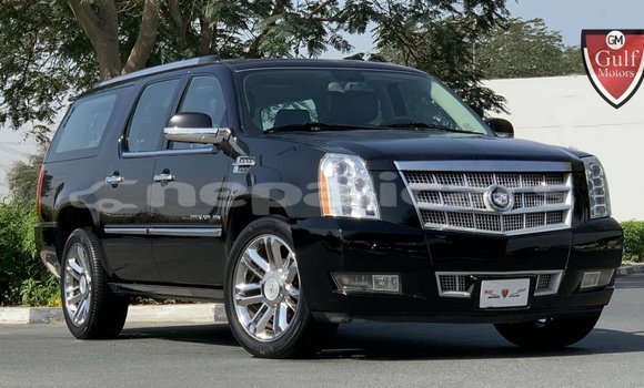 Buy Import Cadillac Escalade Black Car in Import - Dubai in Bagmati