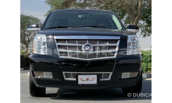 Buy Import Cadillac Escalade Black Car in Import - Dubai in Bagmati Buy Import Cadillac Escalade Black Car in Import - Dubai in Bagmati