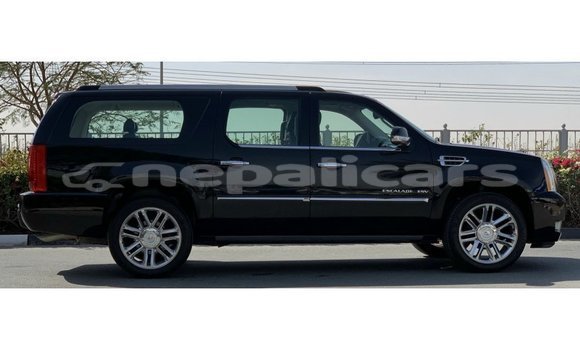Buy Import Cadillac Escalade Black Car in Import - Dubai in Bagmati Buy Import Cadillac Escalade Black Car in Import - Dubai in Bagmati