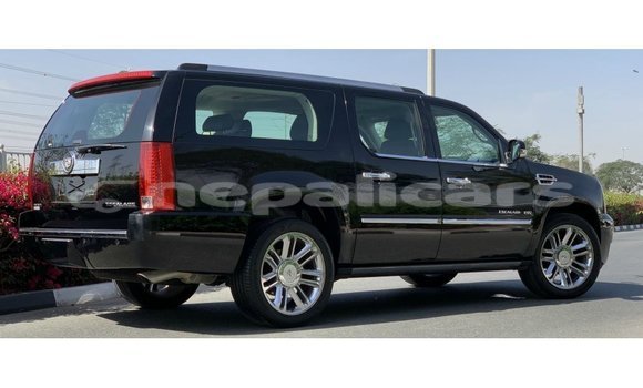 Buy Import Cadillac Escalade Black Car in Import - Dubai in Bagmati Buy Import Cadillac Escalade Black Car in Import - Dubai in Bagmati