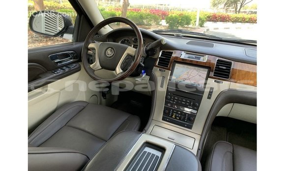 Buy Import Cadillac Escalade Black Car in Import - Dubai in Bagmati Buy Import Cadillac Escalade Black Car in Import - Dubai in Bagmati