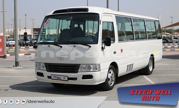 Buy Import Toyota Coaster White Car in Import - Dubai in Bagmati Buy Import Toyota Coaster White Car in Import - Dubai in Bagmati